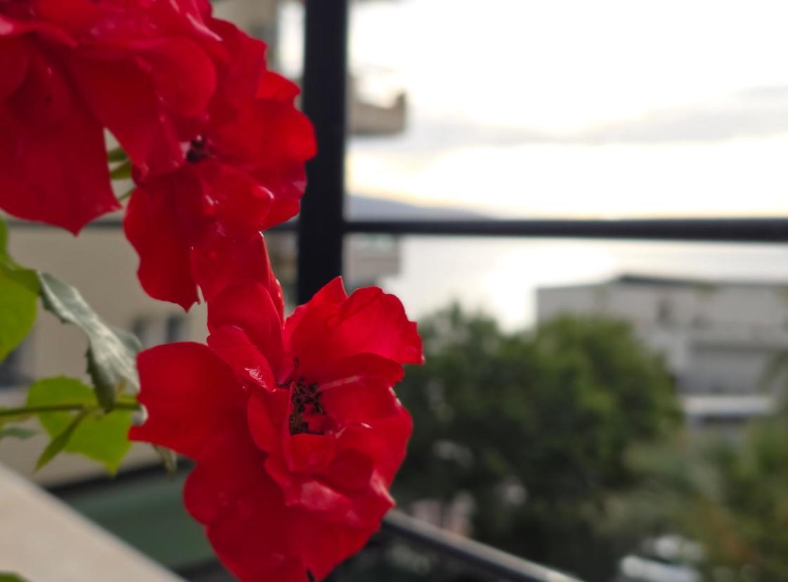Valza Boutique Hotel Vlora Kültér fotó