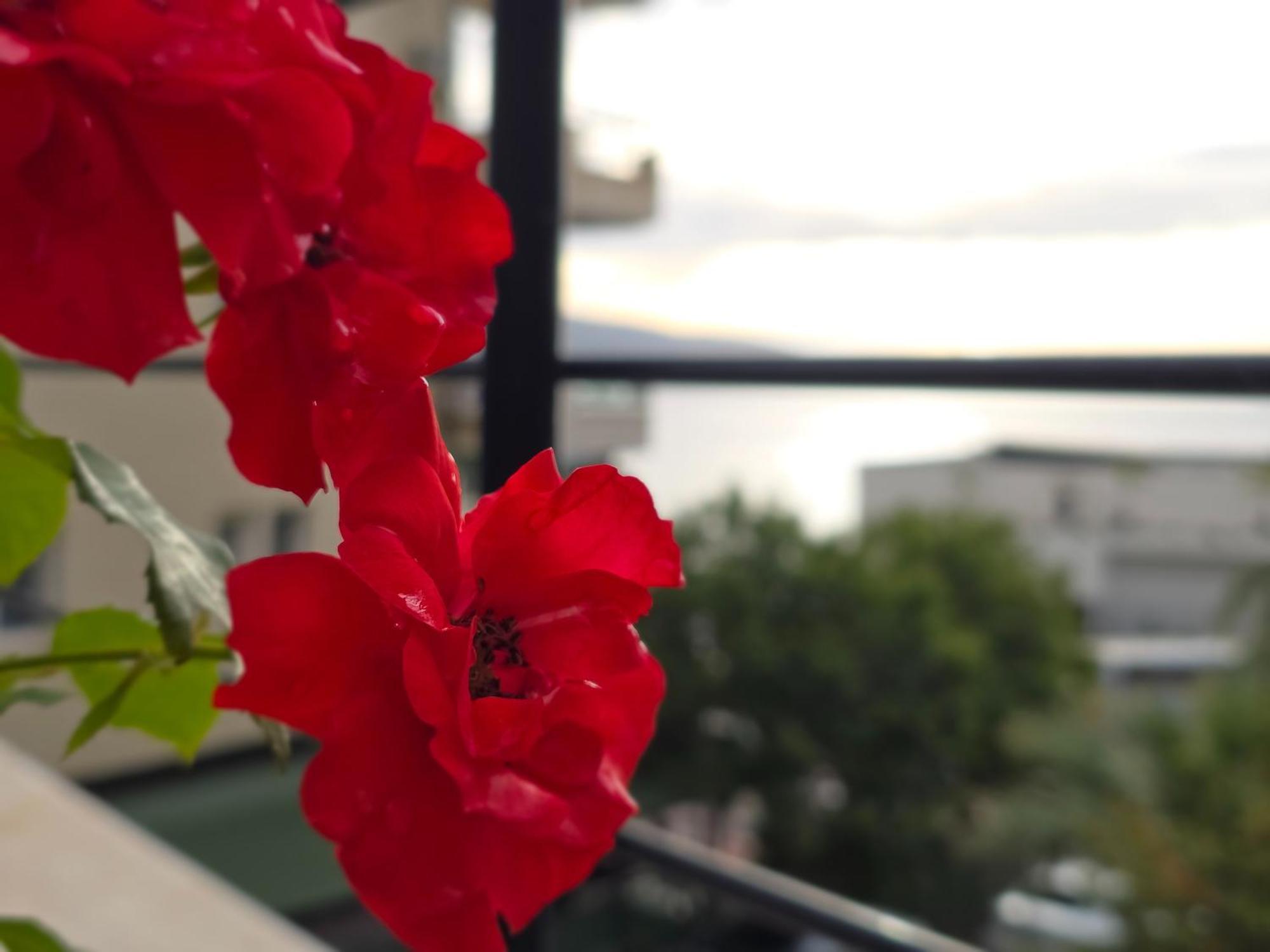 Valza Boutique Hotel Vlora Kültér fotó